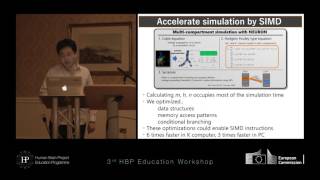 Miyamoto Daisuke Analysis and acceleration of multicompartment HodgkinHuxley [upl. by Navoj]