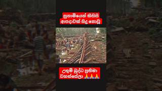 සුනාමියෙන් විනාශ නොවූ බුද්ධ ප්‍රතිමා වහන්සේලා 🙏🙏 buddha buddha sunami srilanka sinhala shots [upl. by Kacie]