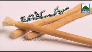 Miswak kay Fawaid  Short Bayan [upl. by Varini]