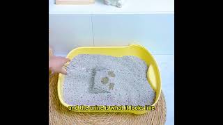 Do you like this bentonite cat litter [upl. by Svend773]