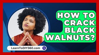 How To Crack Black Walnuts  LearnToDIY360com [upl. by Ruford]