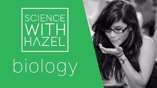 Specialised Cells  GCSE Biology Revision  SCIENCE WITH HAZEL [upl. by Mond]