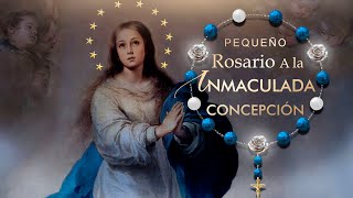 Rosario a la Virgen Inmaculada 🌟 Coronilla de la Inmaculada Concepción 🕊️ Letra [upl. by Onitsuj]