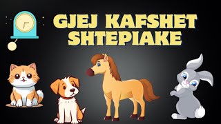 Loja Emrat e Kafshëve Shtëpiake 🐶 Kafshet Shqip për Fëmijë [upl. by Eirrol]