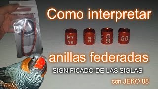 COMO INTERPRETAR UNA ANILLA FEDERADA [upl. by Bohs]