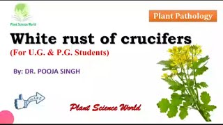 White rust of crucifers Plant Pathology [upl. by Ojadnama]