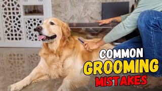 How to Manage Shedding in Golden Retrievers Tips for a Cleaner Home [upl. by Joycelin]