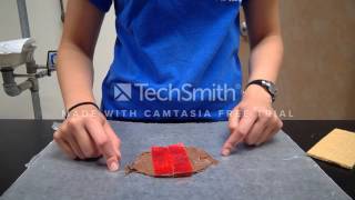 Graham Cracker Plate Techtonics Lab Demo [upl. by Sylvie329]