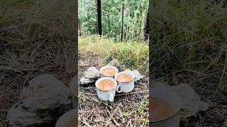 Tea making asmr😋asmr food cooking outdoors nature [upl. by Inahs740]