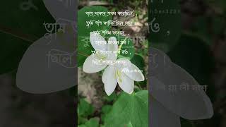 Bengali lyrics sad status।Dopal rukha instrumental । পাশে থাকবে শপথ করেছিলে । Piyali Das। 2024। [upl. by Larimer]