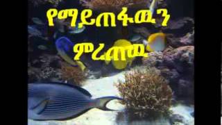 Tesfaye Gabiso  በኩርነትሕን ለምን ሸጥከዉ [upl. by Hareehahs]