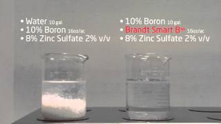 Brandt Smart B™ vs 10 Boron Zinc Compatibility [upl. by Kennie721]