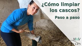 ✅Cómo limpiar los cascos a tu caballo✅I PASO A PASO [upl. by Bradway654]