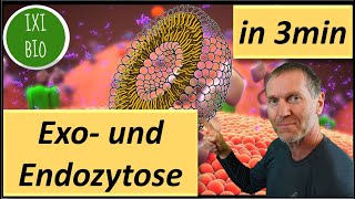 Biologie kurz und knapp  Exo und Endozytose in drei Minuten erklärt  Bestnoten im BioAbi  BioIxi [upl. by Cram]