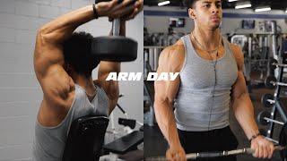 BUILDING BIGGER ARMS  FULL WORKOUT amp PHYSIQUE UPDATE [upl. by Imugem]