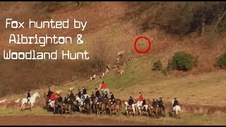 Albrighton amp Woodland Hunt caught chasing a fox [upl. by Gonzalo]