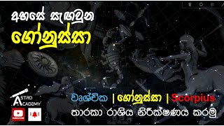 වෘශ්චික  ගෝනුස්සා  Scorpius තාරකා රාශිය නිරීක්ෂණය කරමු  තරකා විද්‍යාව Astronomy Sinhala lesion 11 [upl. by Aticilef]