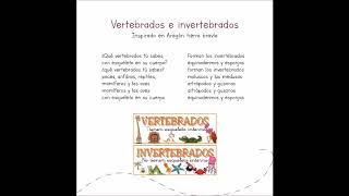 12VERTEBRADOS E INVERTEBRADOS [upl. by Atileda417]