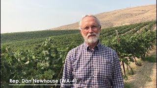 FarmBillFriday Rep Dan Newhouse WA4 [upl. by Sherrod]