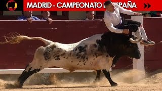 ✅ FINAL DEL CAMPEONATO DE ESPAÑA DE RECORTADORES CON TOROS 2018  MADRID 07102018 [upl. by Llednil]