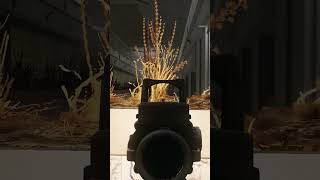 M4 ACOG TARKOV escapefromtarkov tarkov tarkovclips tarkovgameplay acog m4a1gun [upl. by Marlon]