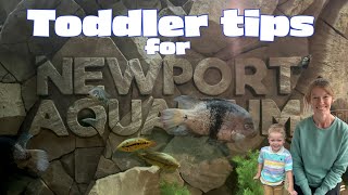 Tips for a Successful Trip to Newport Aquarium with Toddlers [upl. by Ellinger]