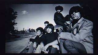 Question Mark amp the Mysterians quot96 Tearsquot 1966 [upl. by Welcy61]