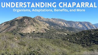 Understanding Chaparral  California Chaparral Part 2 [upl. by Hernandez240]