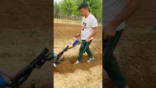 hillside hilly orchard greenhouse cornfield rotarytillage weeding ditching machine [upl. by Ragen]