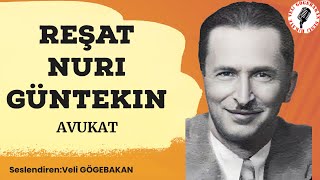 Reşat Nuri Güntekin  Avukat sesli [upl. by Neemsaj]