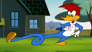 Woodys New Super Powers  1 Hour of Woody Woodpecker Full Episodes [upl. by Ines]