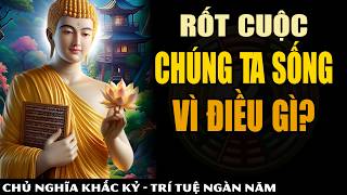 Rốt Cuộc Chúng Ta Sống Vì Điều Gì  9 Bài Học Tinh Hoa Từ Nhân Gian  Khắc Kỷ 365 [upl. by Rolat]