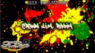 Crown Him Riddim Reggae 2010  Mix By Floer [upl. by Varhol309]