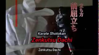 Karate Shotokan  Basic methods of standing  Zenkutsu Dachi Kanazawa coach [upl. by Orual]