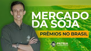 MERCADO DA SOJA  PRÊMIOS NO BRASIL [upl. by Grigson259]