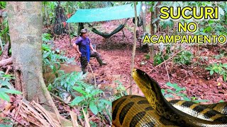 Acampamento selvagem explorando a selva e deparei com uma sucuri gigante [upl. by Reltuc]