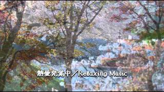 熱愛発覚中／Relaxing Music [upl. by Nodlew]