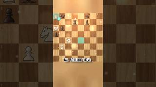 TAL BRILLIANCY  TAL BRILLIANT MOVEchess [upl. by Ahsinotna]