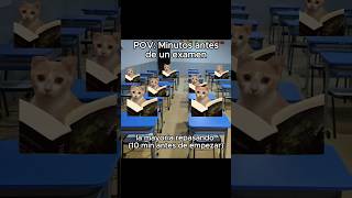 Minutos antes de dar un examen escuela shorts gatitos humor storytime [upl. by Atarman]