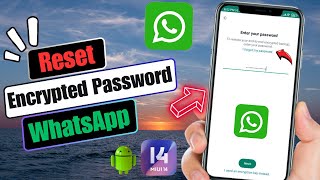 How To Reset Encrypted Password On WhatsApp  Recover WhatsApp Encrypted Password 2024 [upl. by Eiznikcm]