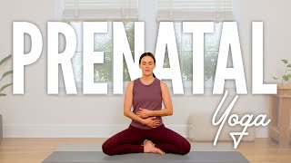 Prenatal Yoga  22Minute Home Yoga Practice [upl. by Brinn]