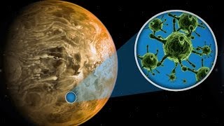 Science Proves ALIEN Life Can Exist [upl. by Loyce248]