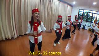 Meti Kei Dance  line dance by Budi Satrio INA Jan 2018 [upl. by Orlosky]