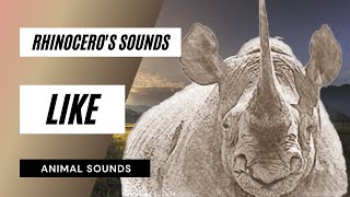 Rhinoceross Sounds Like  the animal sounds rhinoceross sounds  sound effect  animation [upl. by Trevar368]