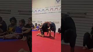 beastly move beast tiger whitetiger lockport joliet workout exercise sports martialarts [upl. by Seys]