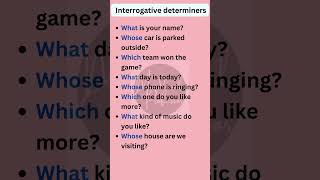 Interrogative determiners  Basic English Grammar shorts english [upl. by Krista]