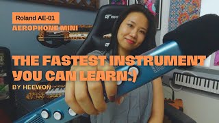 The Fastest Instrument to Learn [upl. by Hayton]