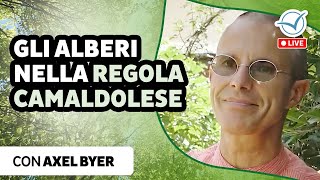 Gli alberi nella regola camaldolese  Axel Byer [upl. by Enaej]