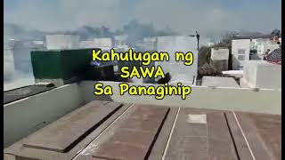 KAHULUGAN NG SAWA SA PANAGINIP [upl. by Eendys944]