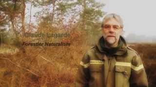 Forestier naturaliste à l’ONF un métier au service de la préservation de la biodiversité [upl. by Tomlinson182]